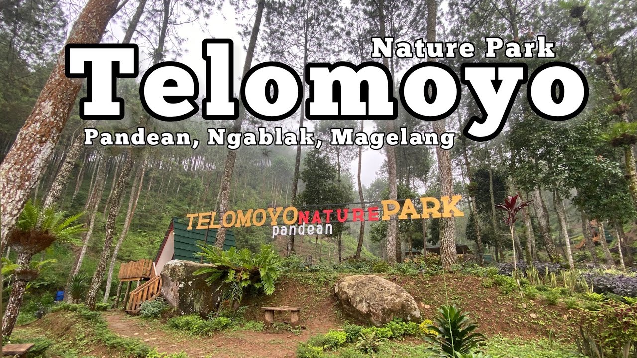 Telomoyo Nature Park: Surga Tersembunyi di Lereng Gunung